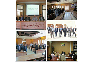 ظرفیت بالای شهرستان سیرجان در فعالیت های صنعتی
